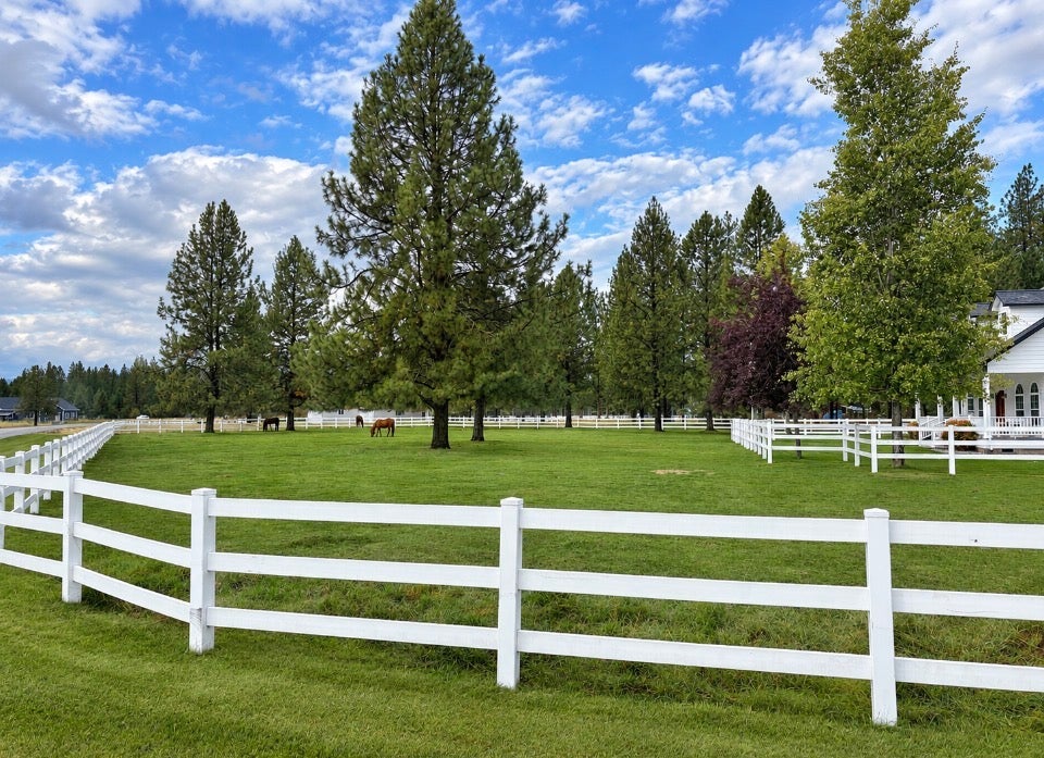 659 Airfield Road Libby, MT 59923 - Photo 6 of 42 Gallery Image 6