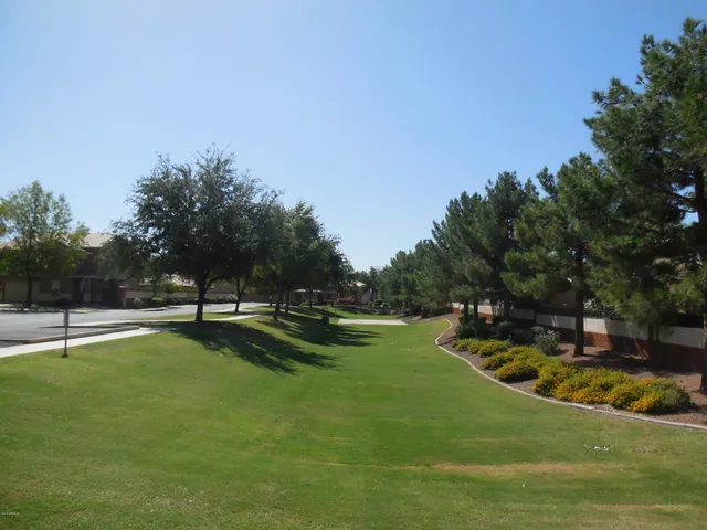 a view of a street with a palm trees