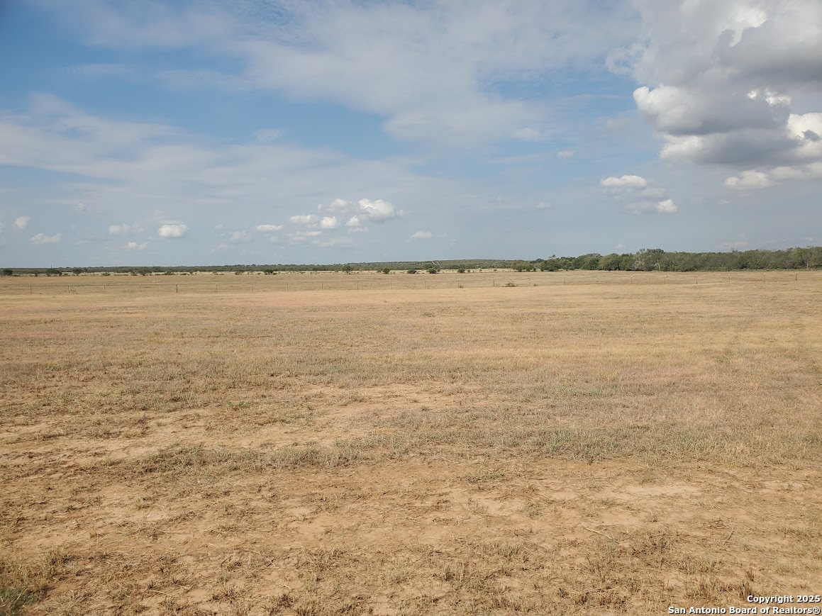 978 County Road 1670 Moore, TX 78057 - Photo 7 of 13