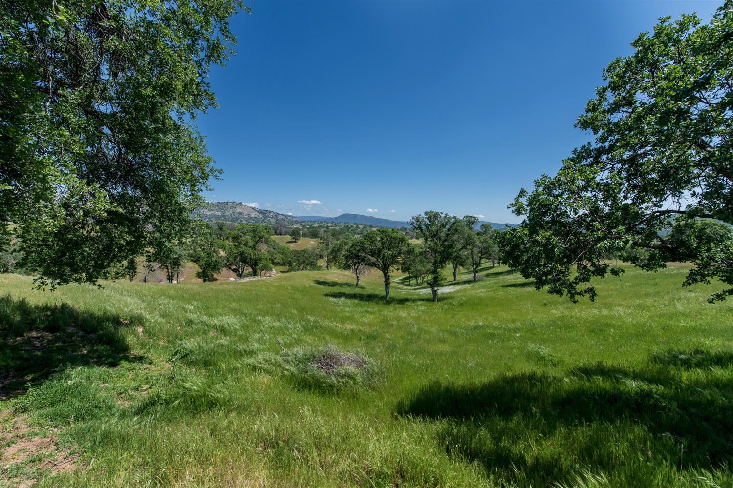 11990 Millerton Road Clovis, CA 93619 - Photo 8 of 62 Gallery Image 8