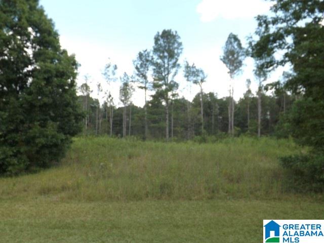 435 Wow Road, Unit 59 Blountsville, AL 35031 - Photo 34 of 49