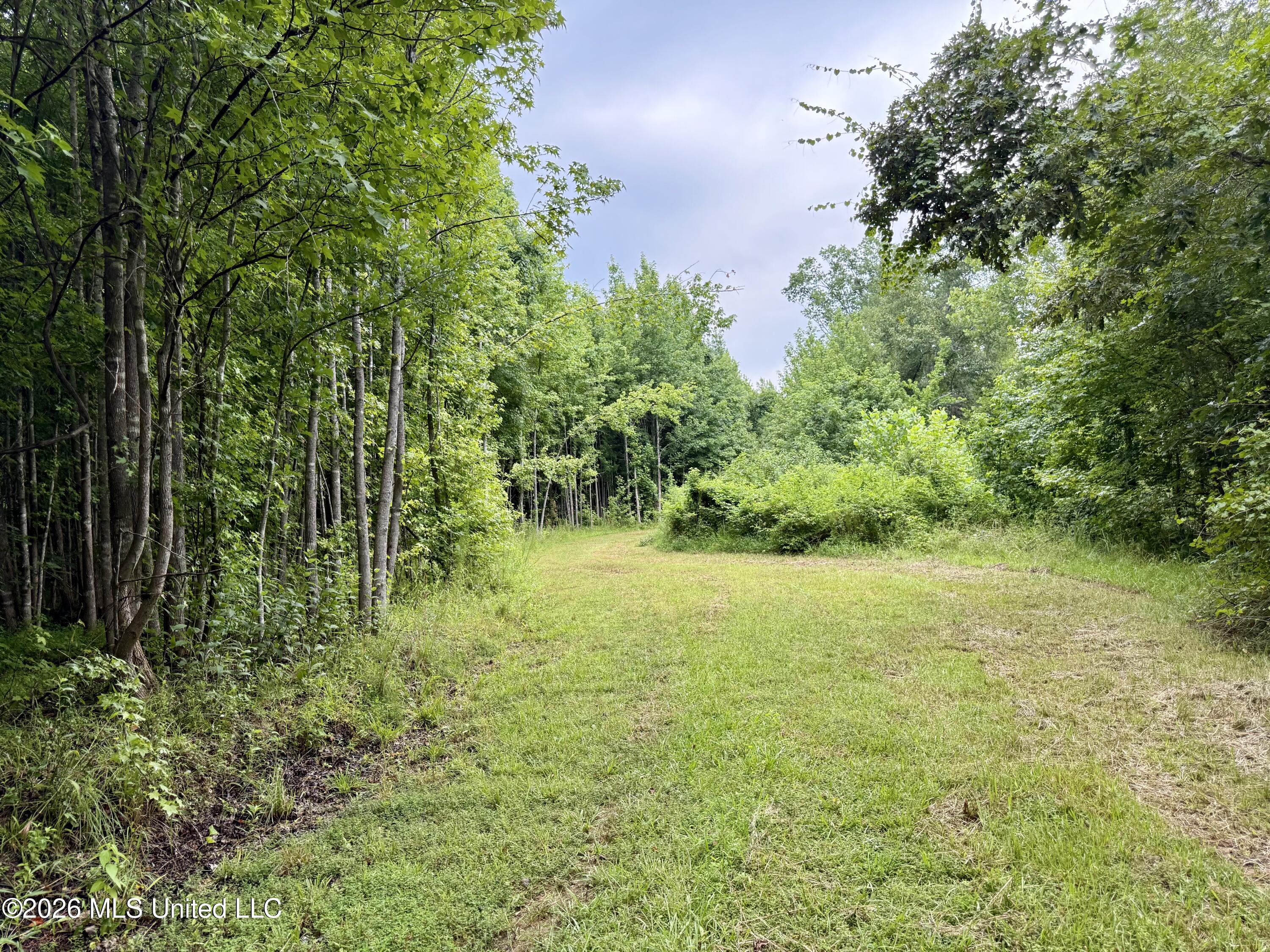568 Smith-Bailey Road Durant, MS 39063 - Photo 58 of 81 Photo Jul 02 2026, 2 30 00 PM