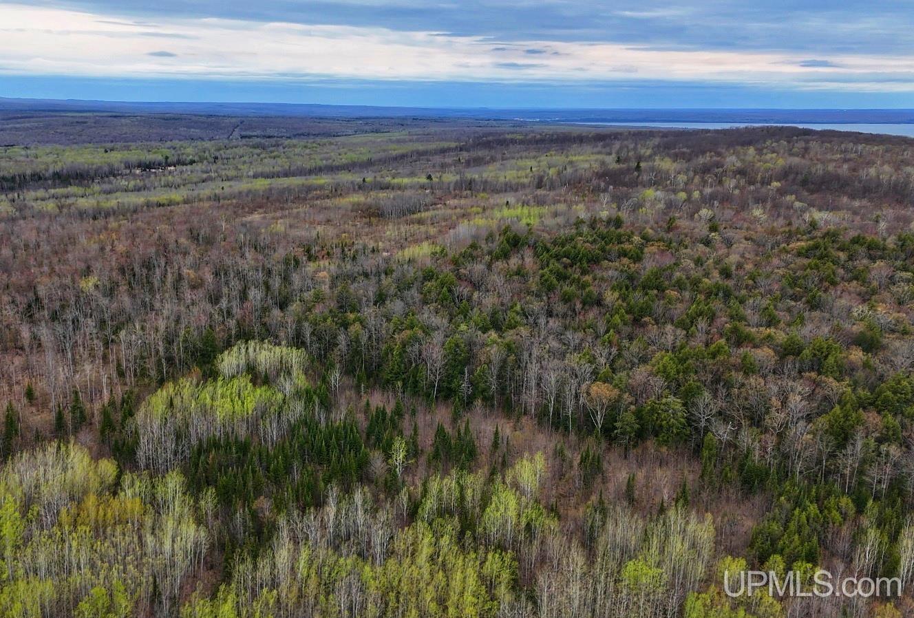 Tbdw Tbdw Off Townline Road Lanse, MI 49946 - Photo 5 of 17