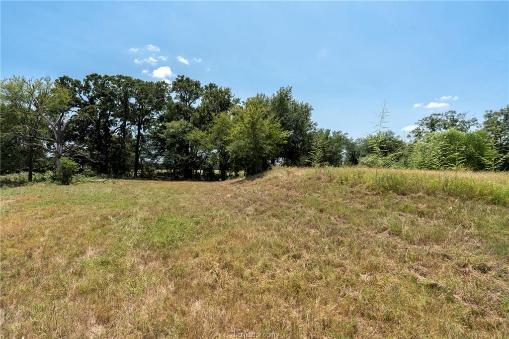 Tbd Templeton Road Hearne, TX 77859 - Photo 6 of 19 Gallery Image 6