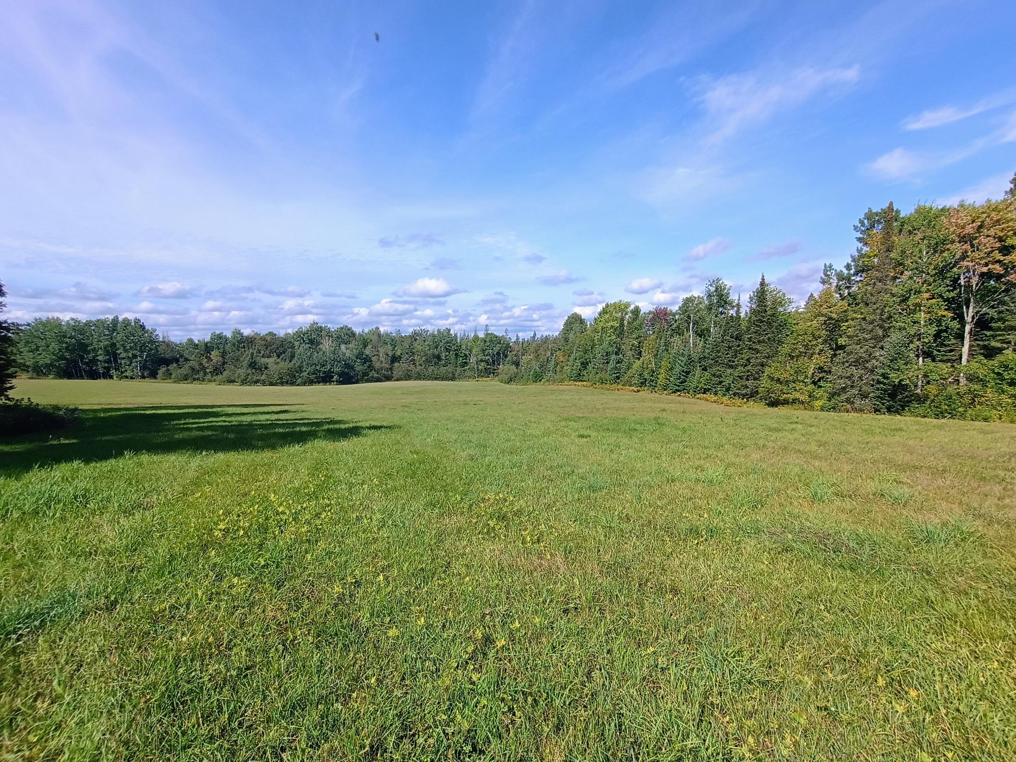40-ac On Wagner Vogt Road Butternut, WI 54514 - Photo 20 of 25 Gallery Image 20