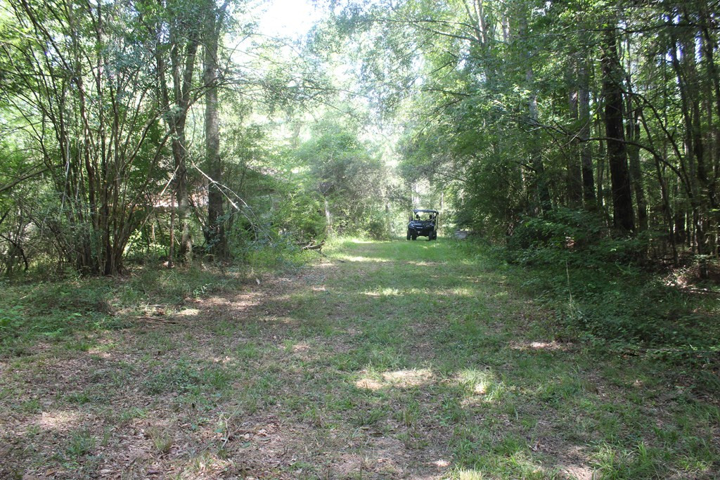 3960 East Lincoln Road Southeast Brookhaven, MS 39601 - Photo 18 of 23 Photo 18