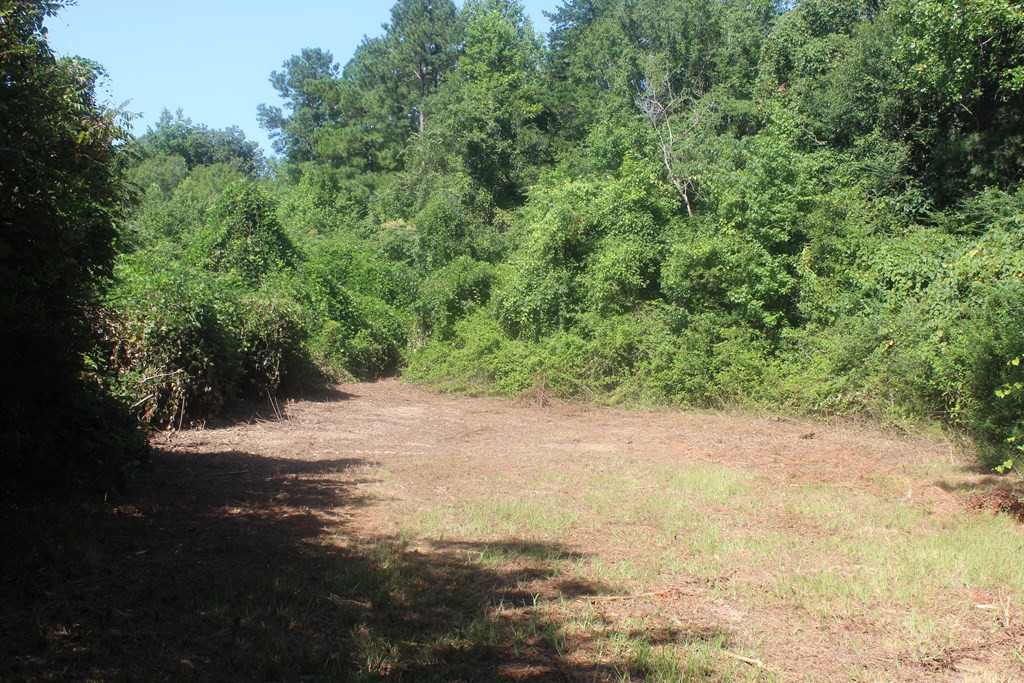 3960 East Lincoln Road Southeast Brookhaven, MS 39601 - Photo 9 of 23 Photo 9