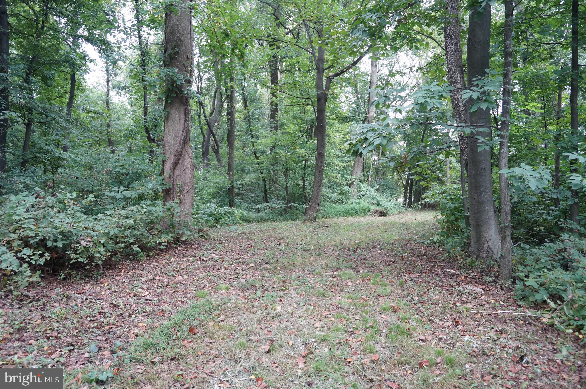 201 Highville Road Conestoga, PA 17516 - Photo 1 of 9