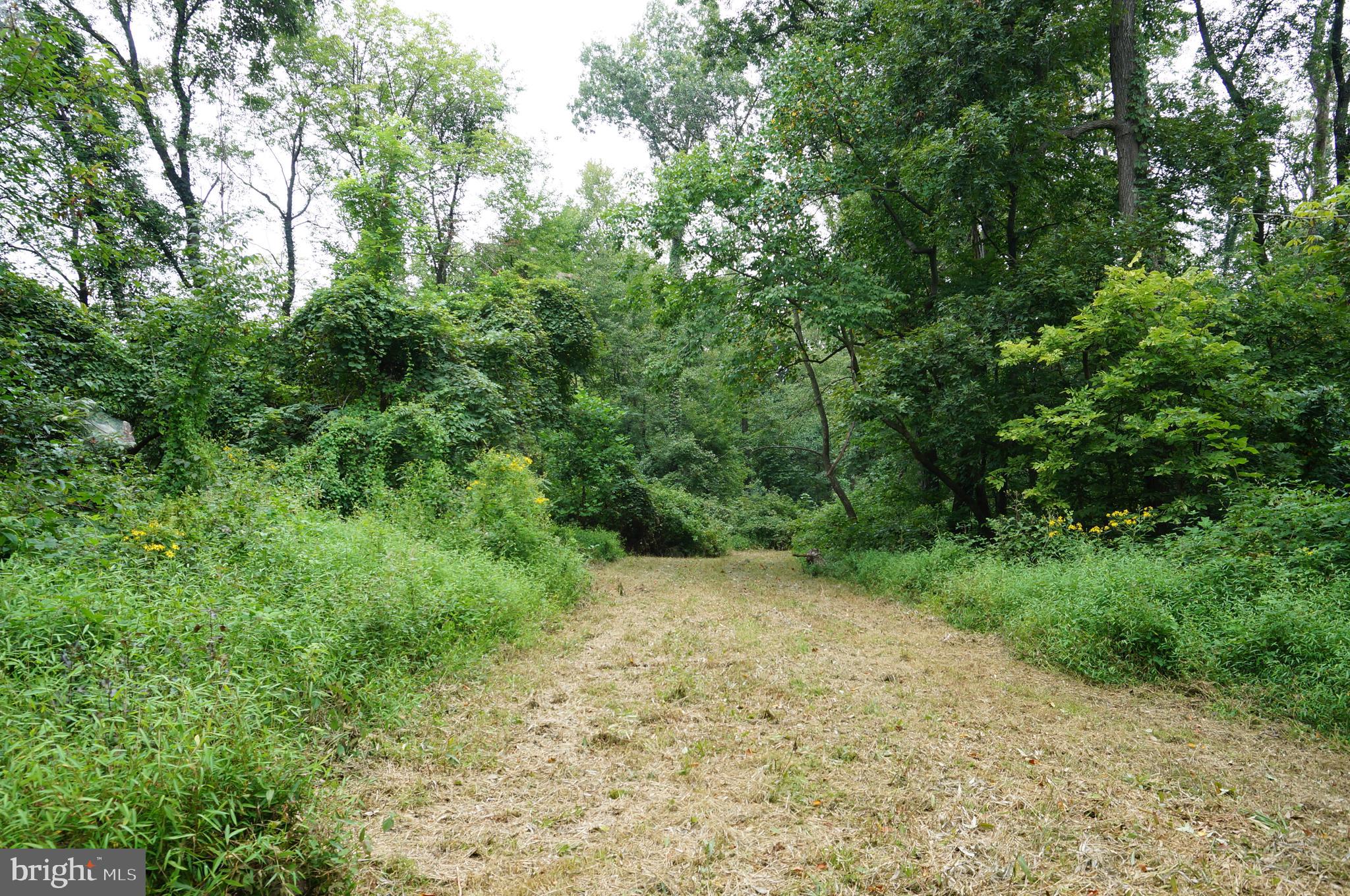 201 Highville Road Conestoga, PA 17516 - Photo 3 of 9