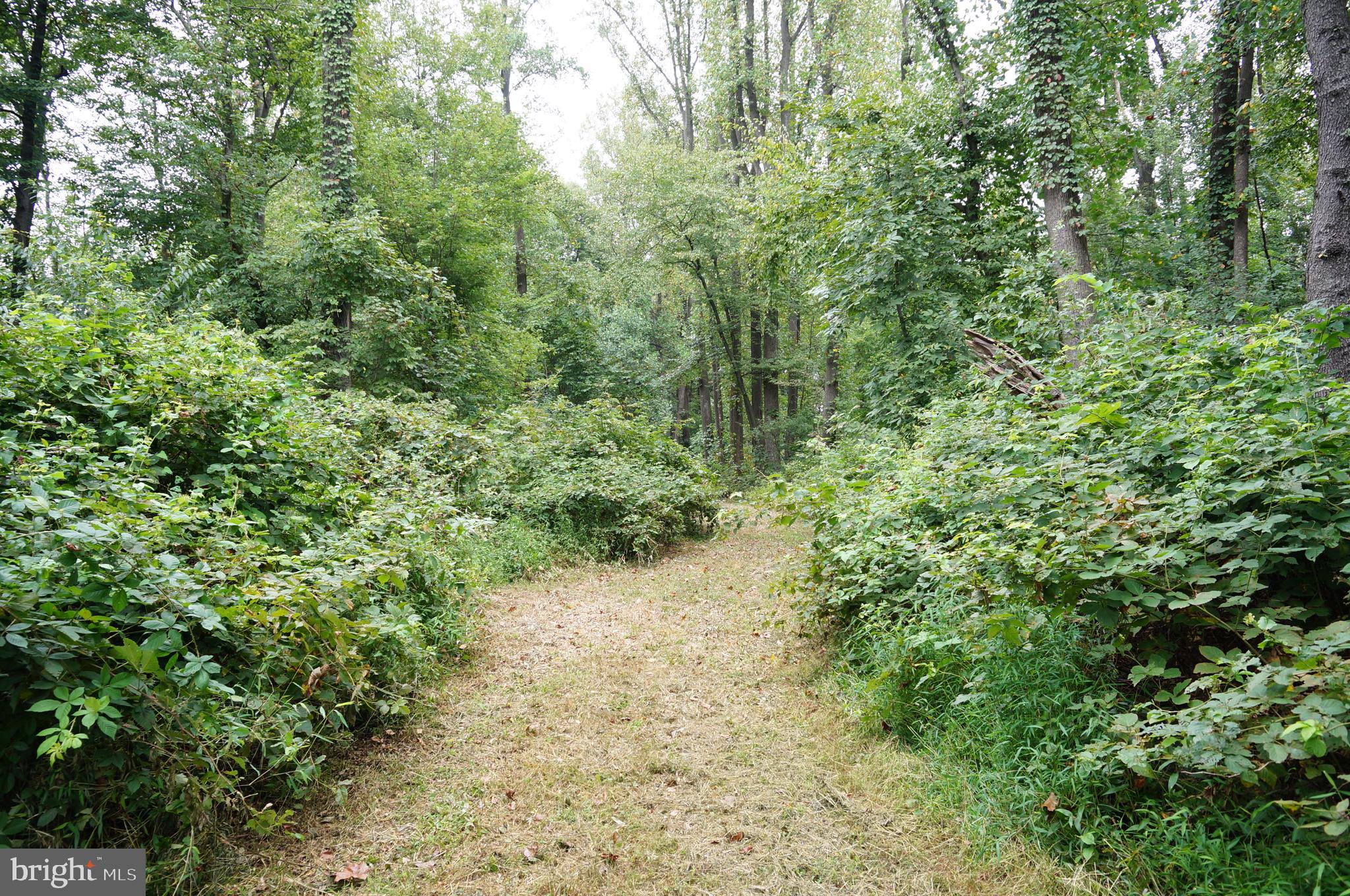 201 Highville Road Conestoga, PA 17516 - Photo 4 of 9