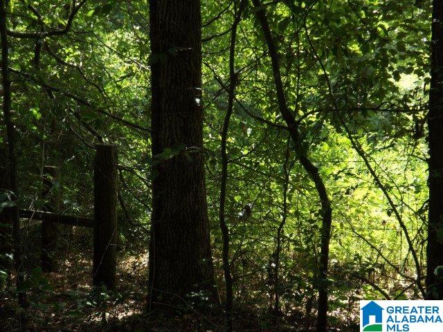 915 Burgett Road Altoona, AL 35952 - Photo 34 of 36