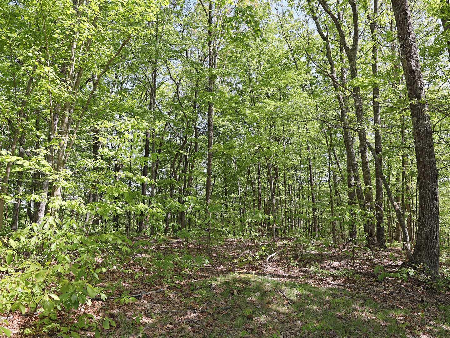 Lot 18 Grouse Ridge Road, Unit 18 Harriman, TN 37748 - Photo 14 of 21 18