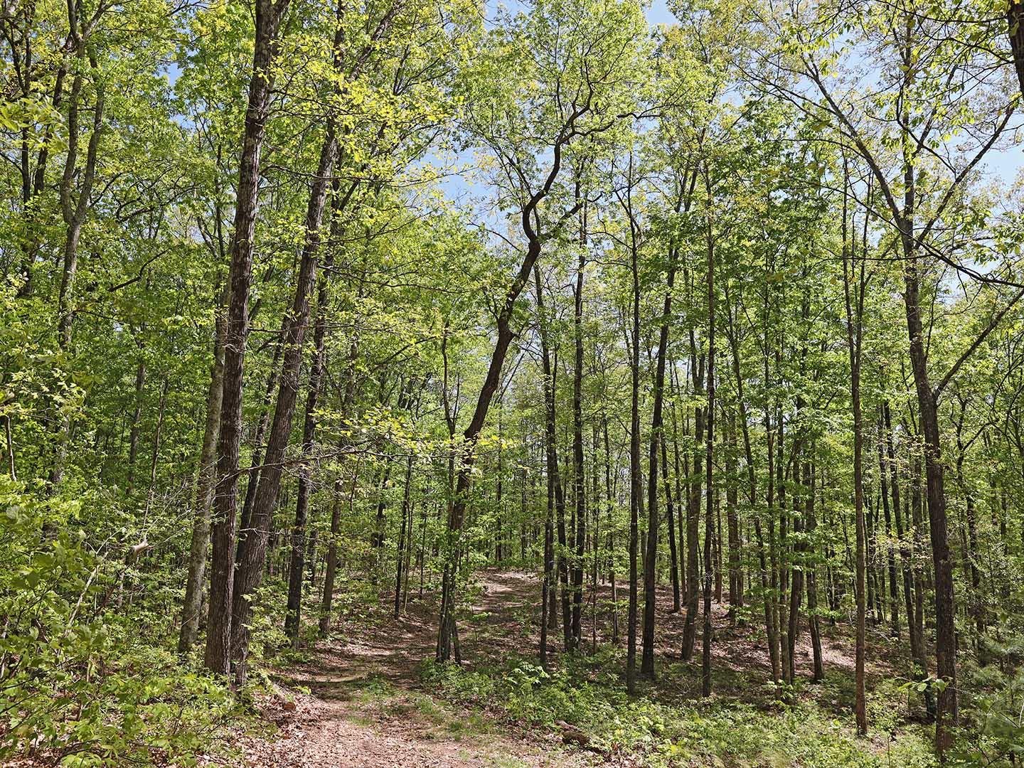 Lot 18 Grouse Ridge Road, Unit 18 Harriman, TN 37748 - Photo 16 of 21 20