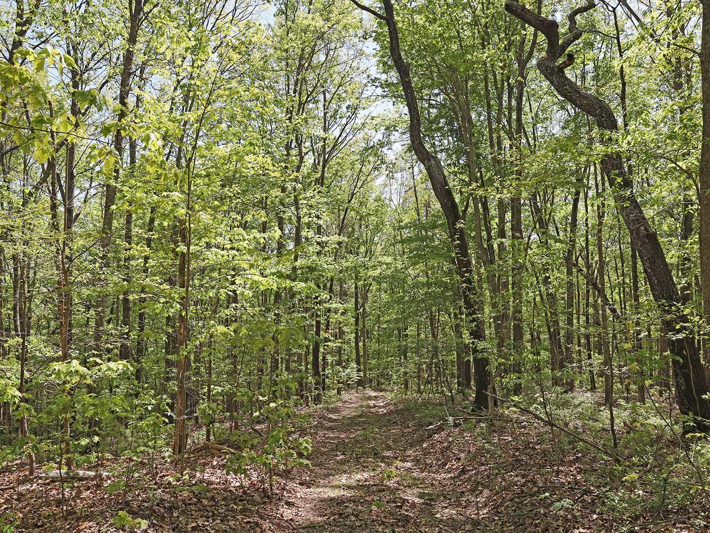 Lot 18 Grouse Ridge Road, Unit 18 Harriman, TN 37748 - Photo 17 of 21 21