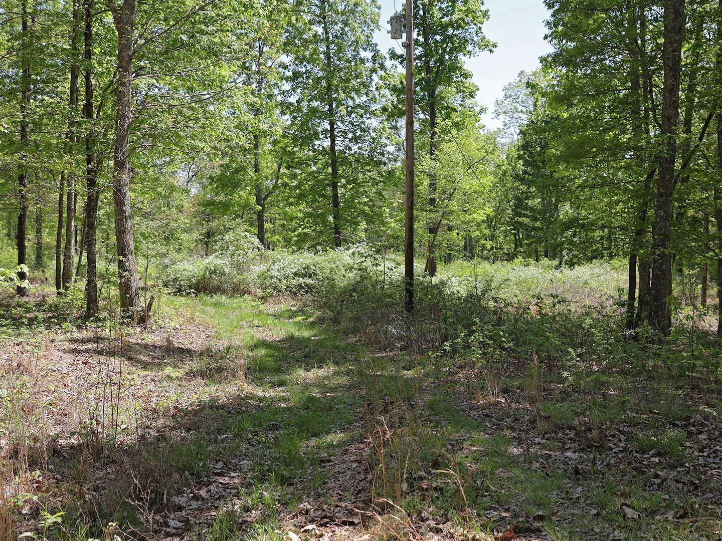 Lot 18 Grouse Ridge Road, Unit 18 Harriman, TN 37748 - Photo 3 of 21 5