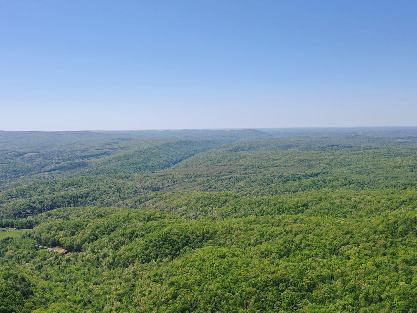 Lot 18 Grouse Ridge Road, Unit 18 Harriman, TN 37748 - Photo 7 of 21 9