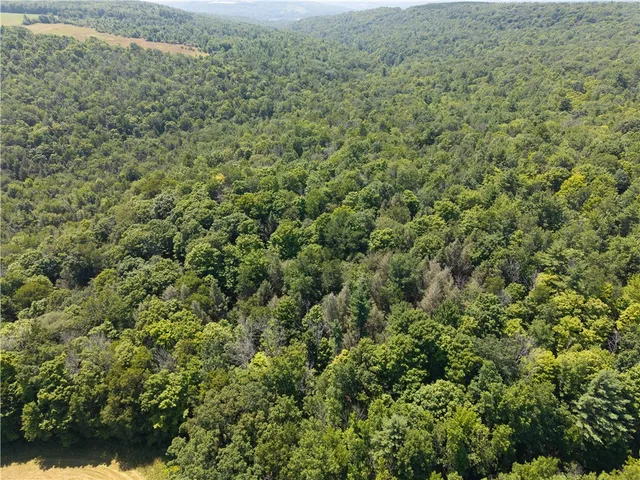 $407,500 | 4942 Blank Hill Road, Ossian, NY 14437