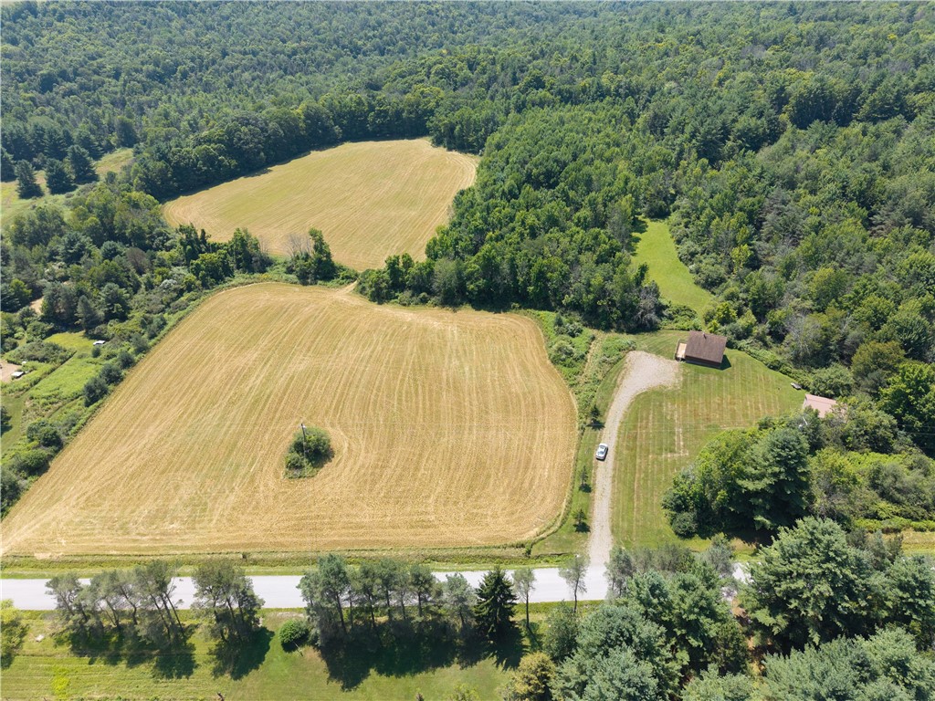 4942 Blank Hill Road Ossian, NY 14437 - Photo 12 of 49