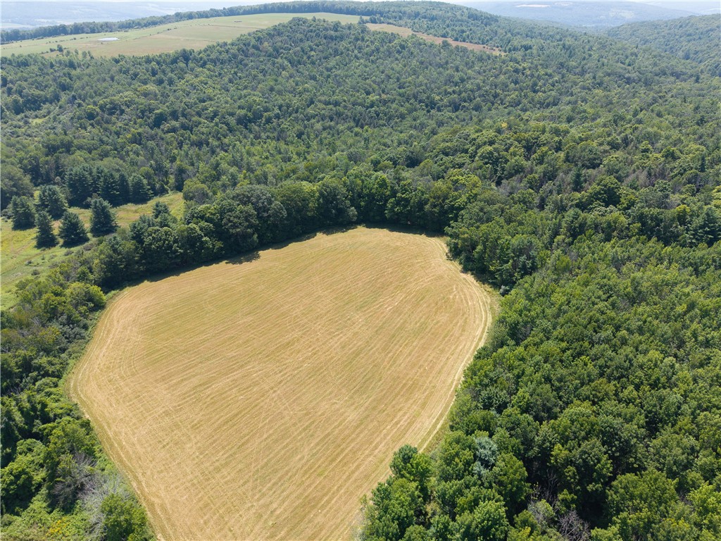 4942 Blank Hill Road Ossian, NY 14437 - Photo 13 of 49