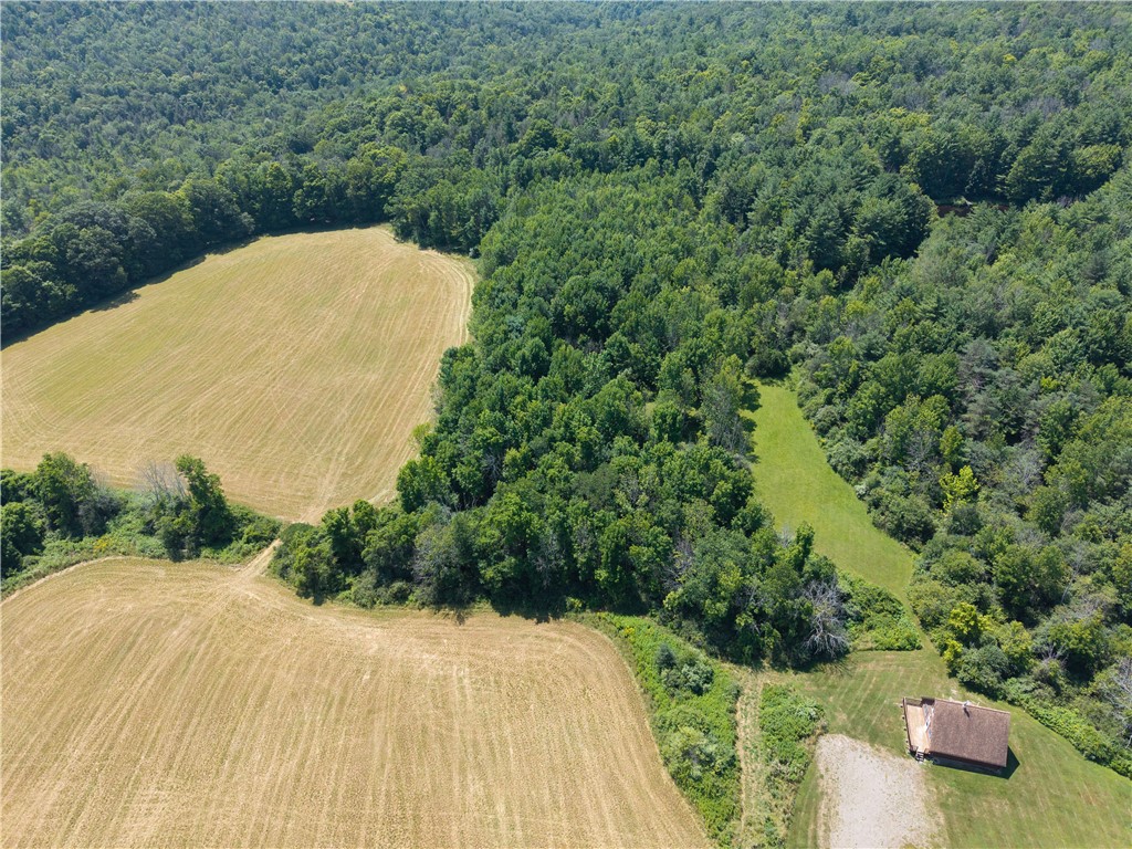 4942 Blank Hill Road Ossian, NY 14437 - Photo 15 of 49