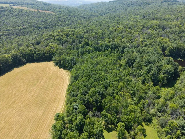 $407,500 | 4942 Blank Hill Road, Ossian, NY 14437