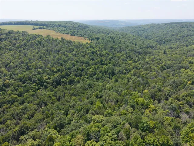 $407,500 | 4942 Blank Hill Road, Ossian, NY 14437