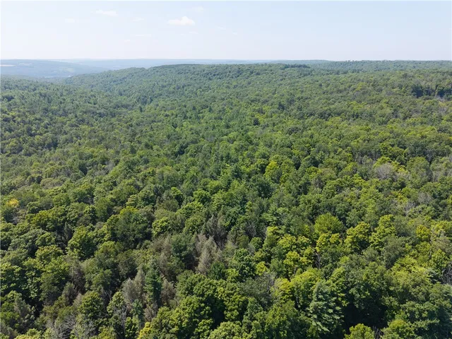 $407,500 | 4942 Blank Hill Road, Ossian, NY 14437