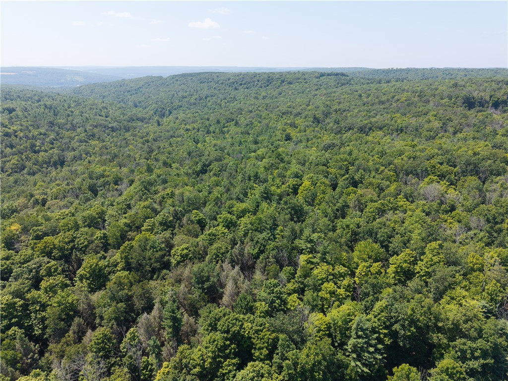 4942 Blank Hill Road Ossian, NY 14437 - Photo 23 of 49