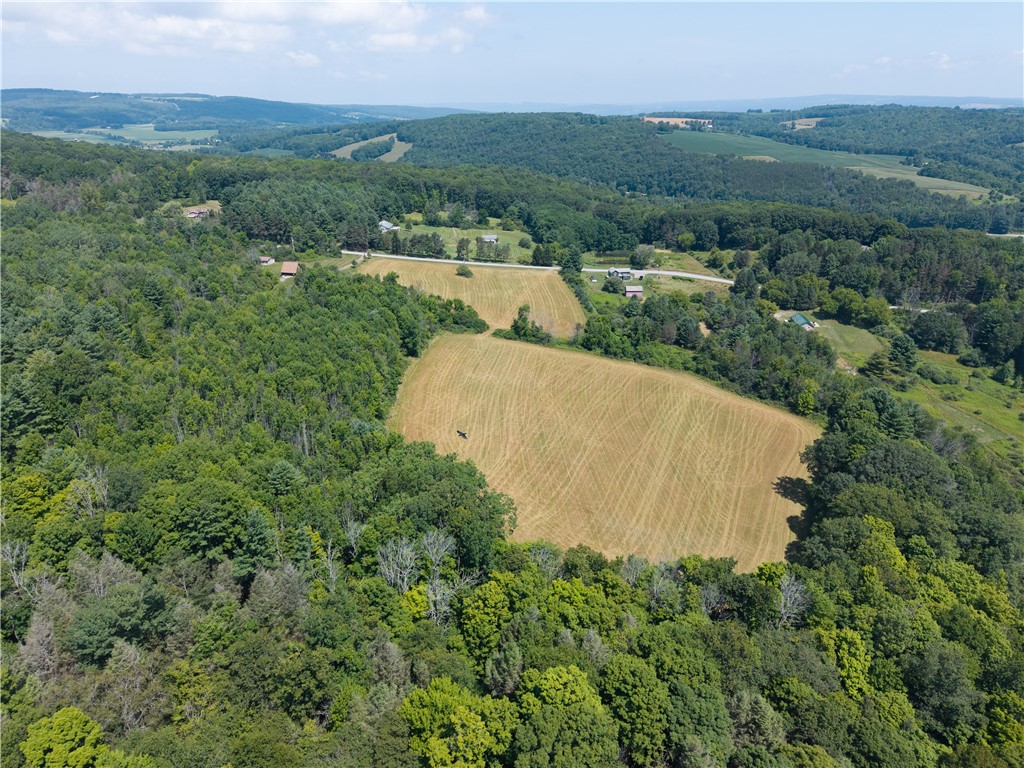 4942 Blank Hill Road Ossian, NY 14437 - Photo 25 of 49