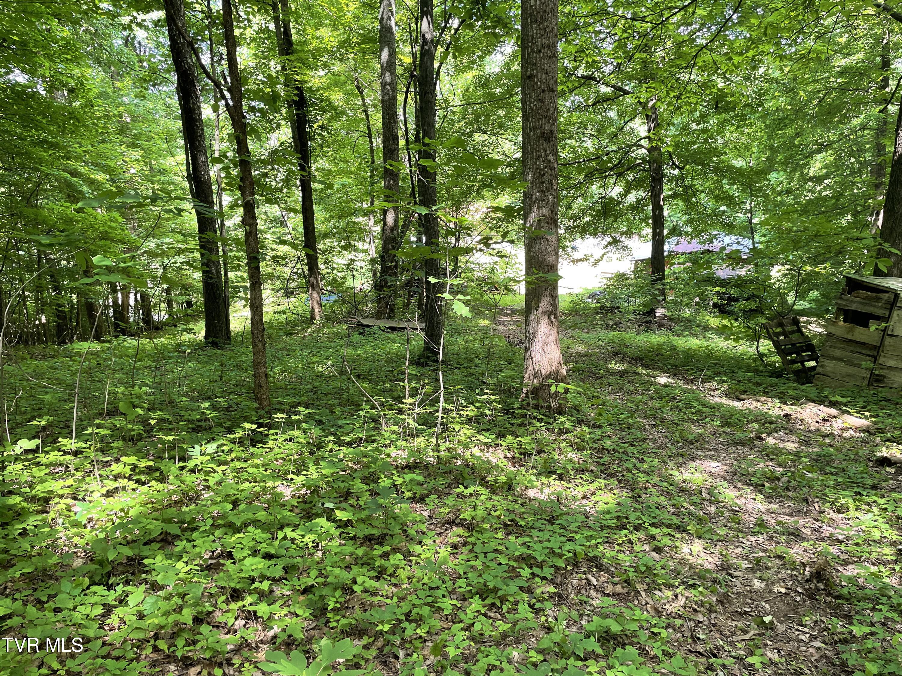 2815 Blue Ridge Drive Morristown, TN 37814 - Photo 21 of 32 IMG_5914
