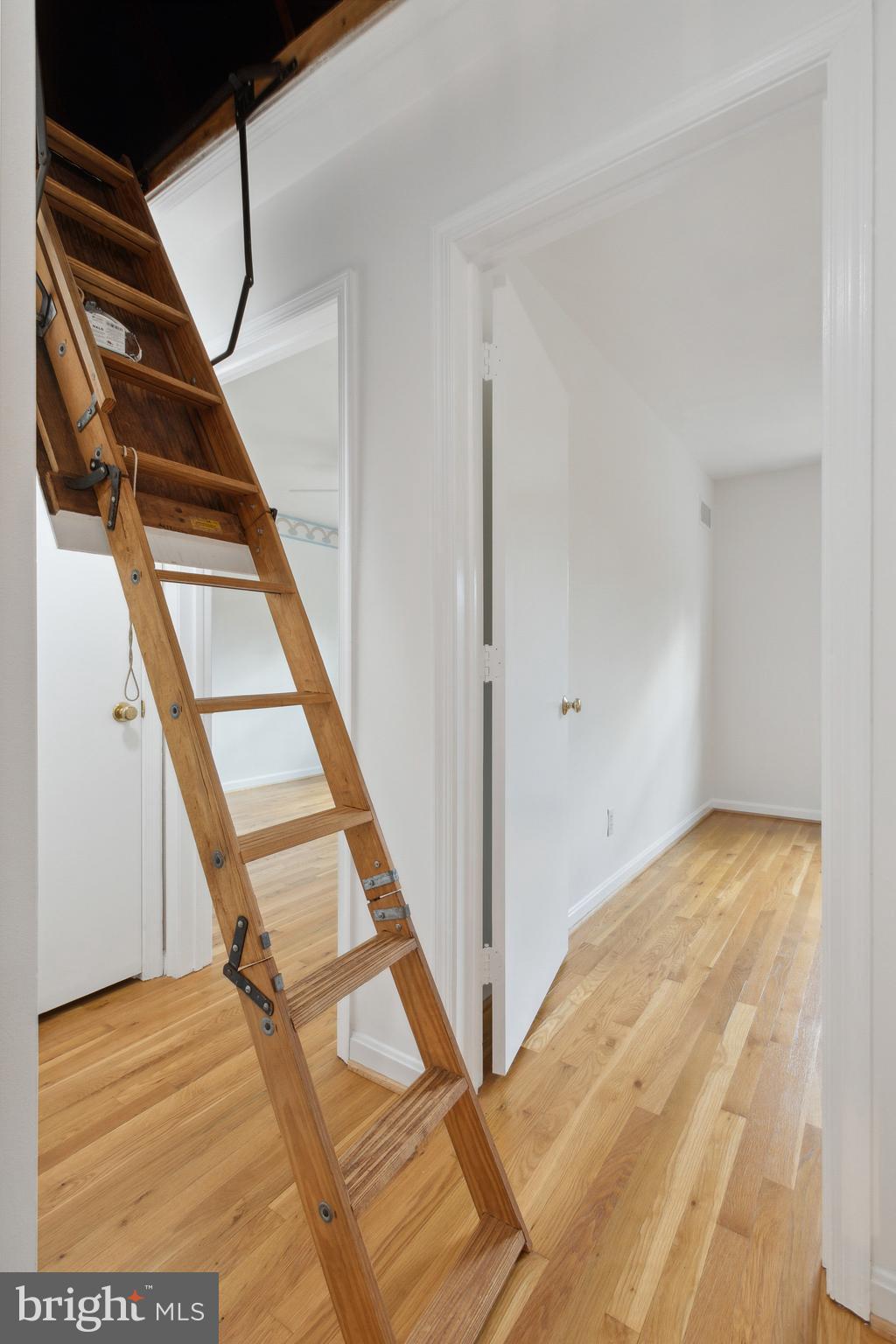 8407 Willow Forge Road Springfield, VA 22152 - Photo 25 of 45 Pull Down Stairs to Attic with Tons of Storage