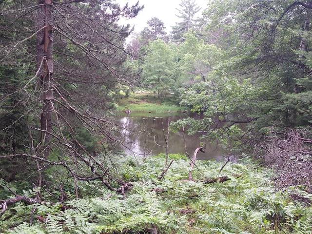Lot 8 The Point Road East Tomahawk, WI 54487 - Photo 2 of 6 Gallery Image 2