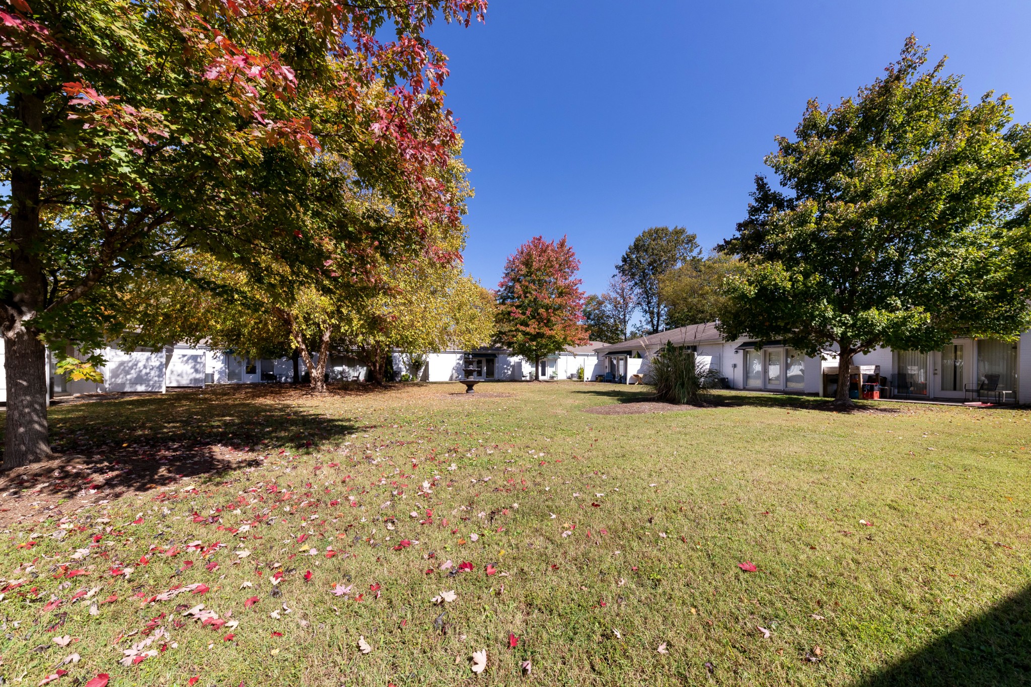 802 East Main Street, Unit 23 Murfreesboro, TN 37130 - Photo 18 of 21 a tall tree in middle of the garden