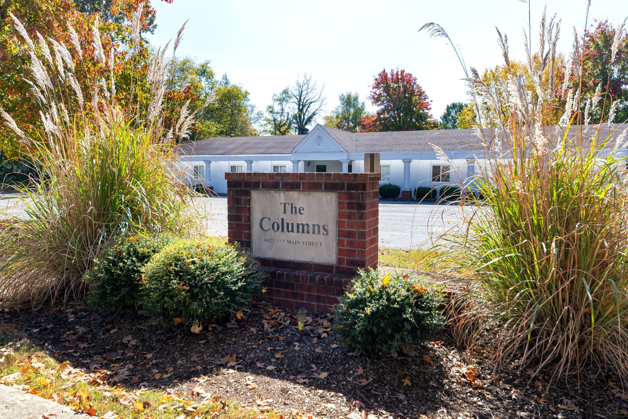 802 East Main Street, Unit 23 Murfreesboro, TN 37130 - Photo 20 of 21 a view of a house with a yard and tree s