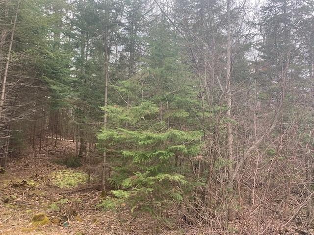 8 Old 8 Road Rhinelander, WI 54501 - Photo 4 of 5 Gallery Image 4
