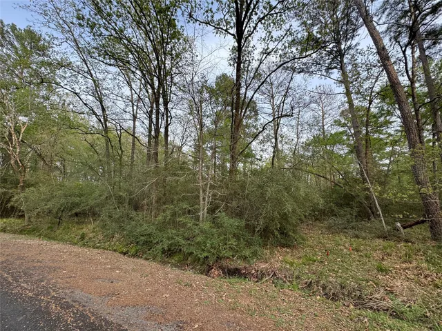 $4,500 | Tbd28 Broadmoor Drive, Trinity, TX 75862