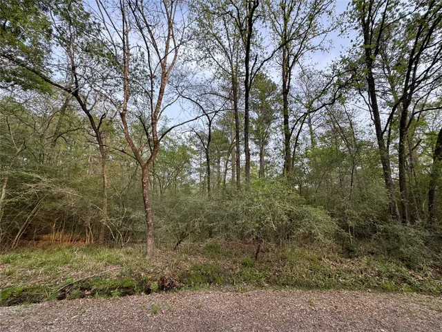 $4,500 | Tbd28 Broadmoor Drive, Trinity, TX 75862