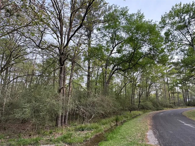 $4,500 | Tbd28 Broadmoor Drive, Trinity, TX 75862