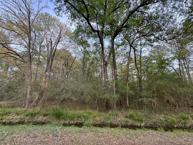 $4,500 | Tbd28 Broadmoor Drive, Trinity, TX 75862