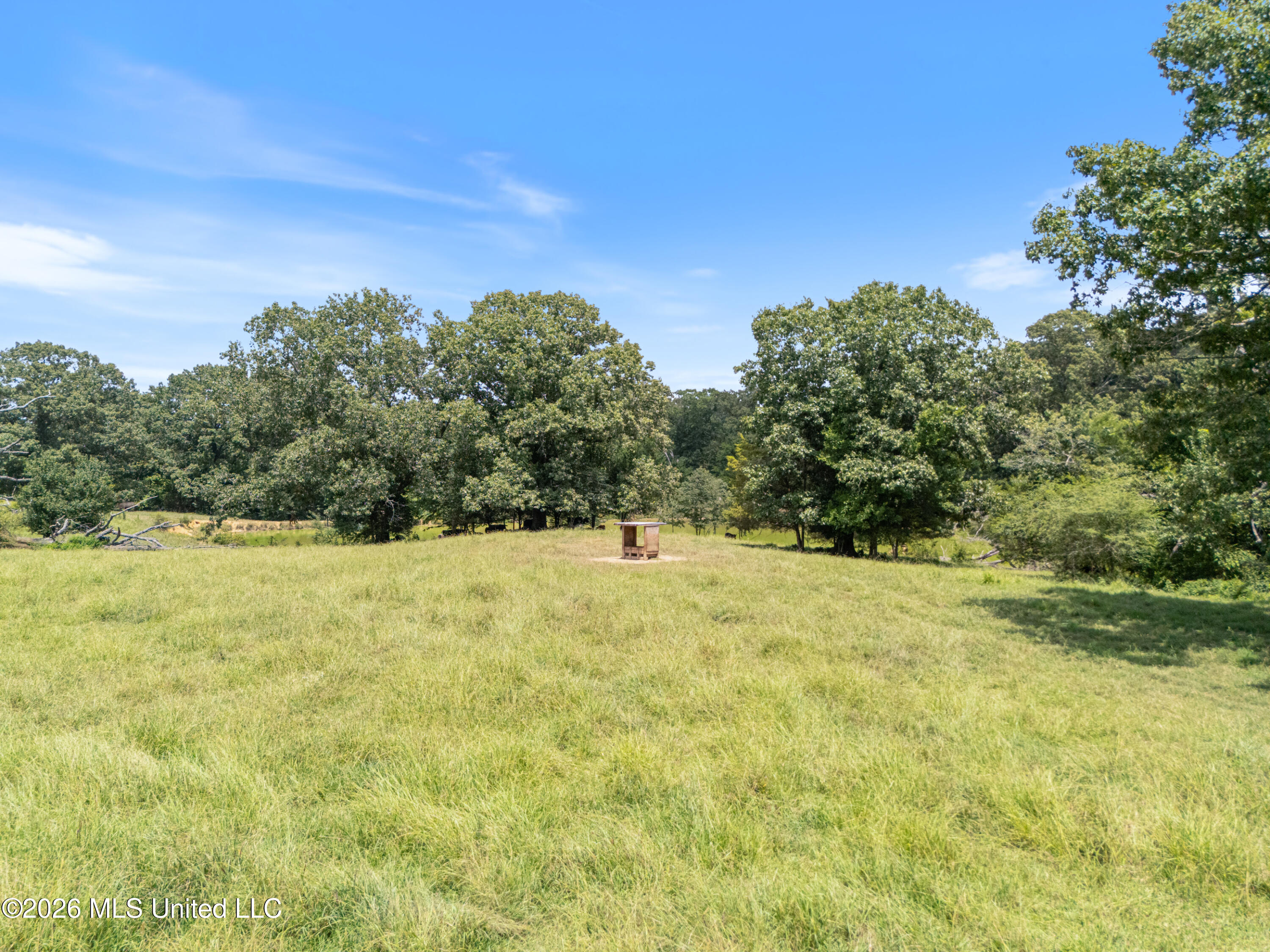 1150 Veazey Road Senatobia, MS 38668 - Photo 20 of 28 101_fourth stop_022