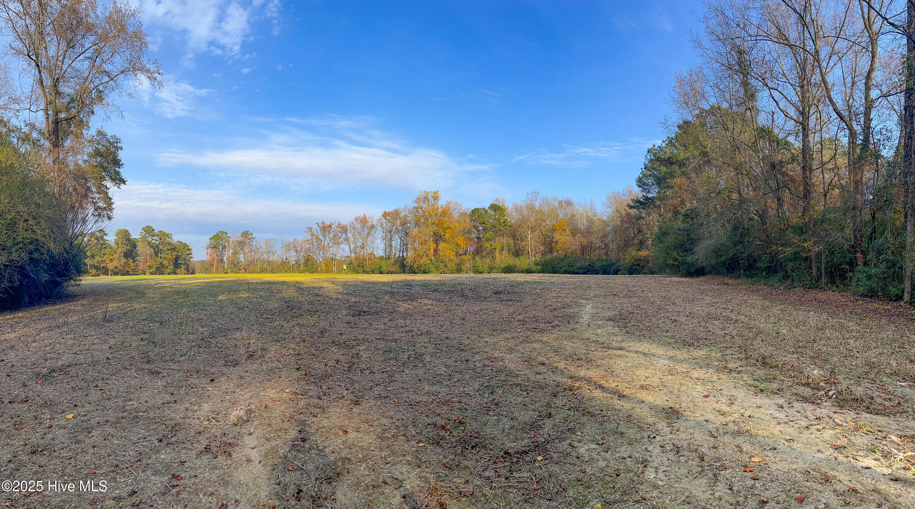 41.5-acres High School Road Teachey, NC 28464 - Photo 13 of 27 15