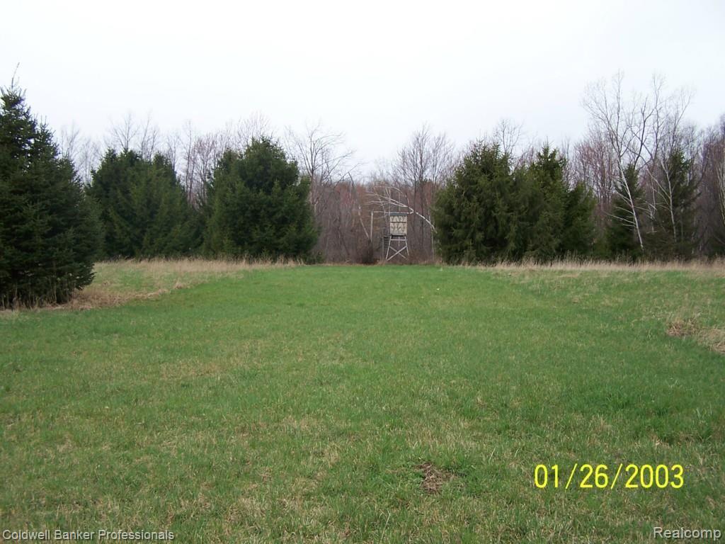 2693 Tozer Road North Branch, MI 48461 - Photo 40 of 55