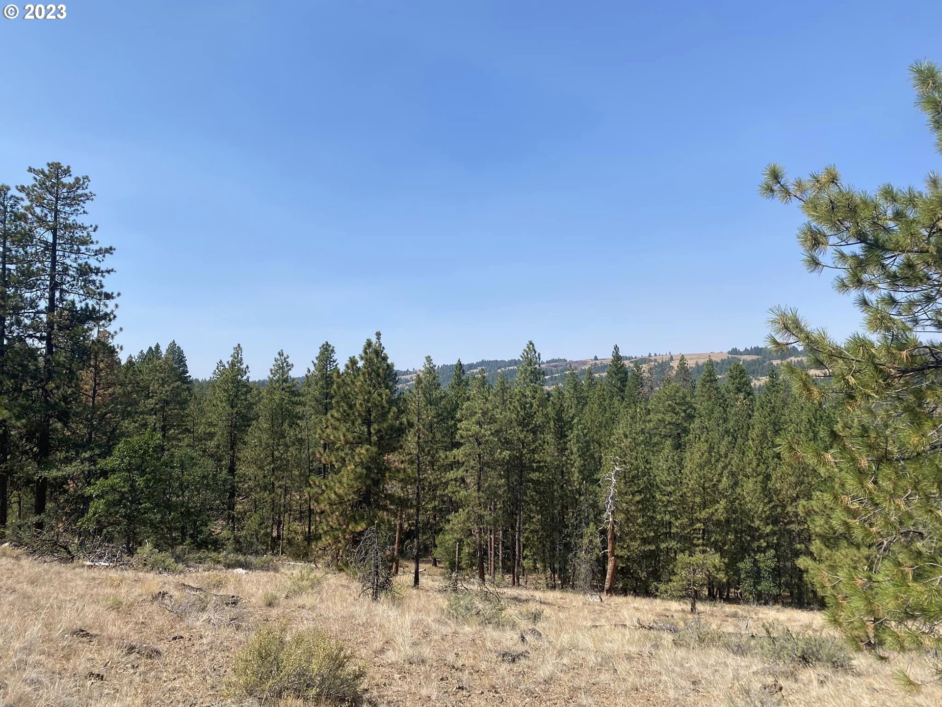 Fireline Road Roosevelt, WA 99356 - Photo 17 of 25 Gallery Image 17