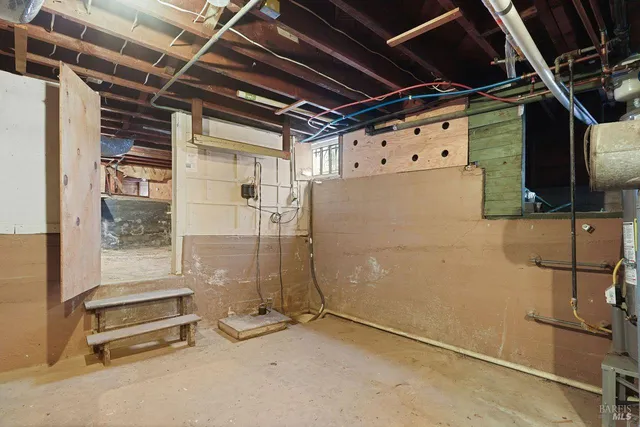 a view of a backyard with potted plants