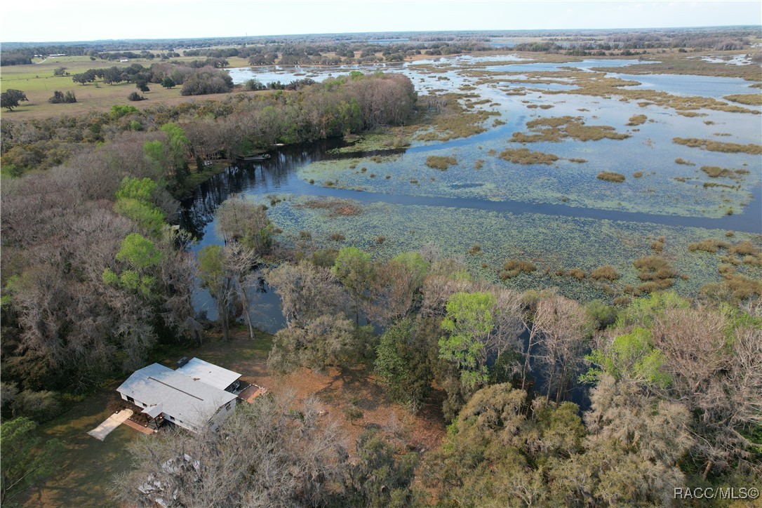 770 North Lori Point Inverness, FL 34453 - Photo 5 of 44