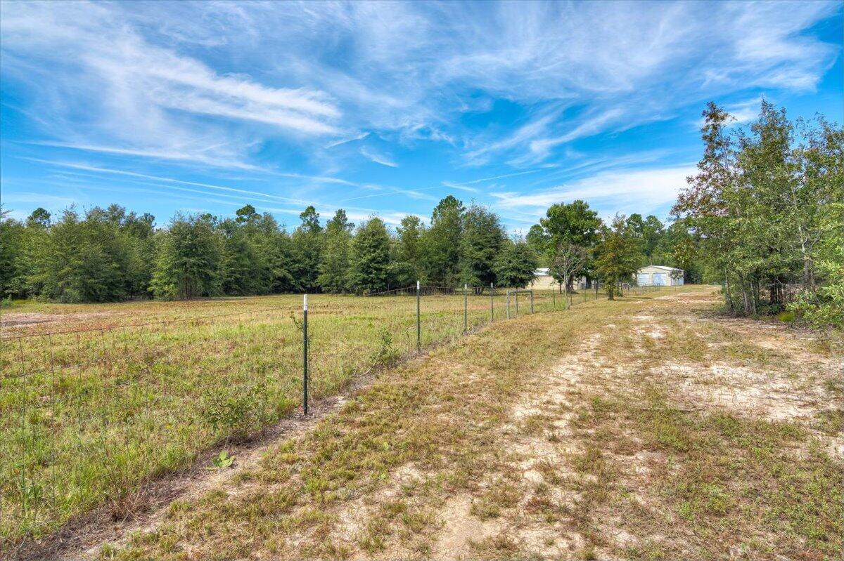 310 Pearl Bonnett Road Windsor, SC 29856 - Photo 46 of 58