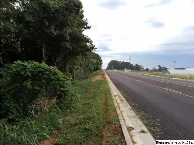 Taylor Road, Unit 13 9 Ashland, AL 36251 - Photo 2 of 5