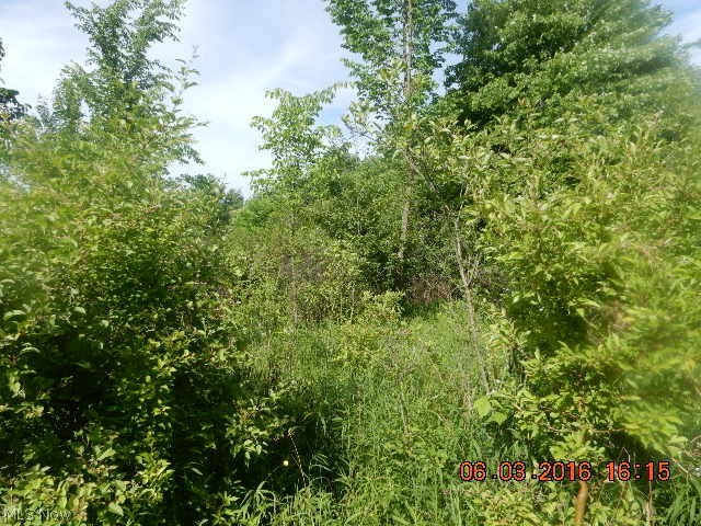 Hoffman Road Rome, OH 44085 - Photo 11 of 34