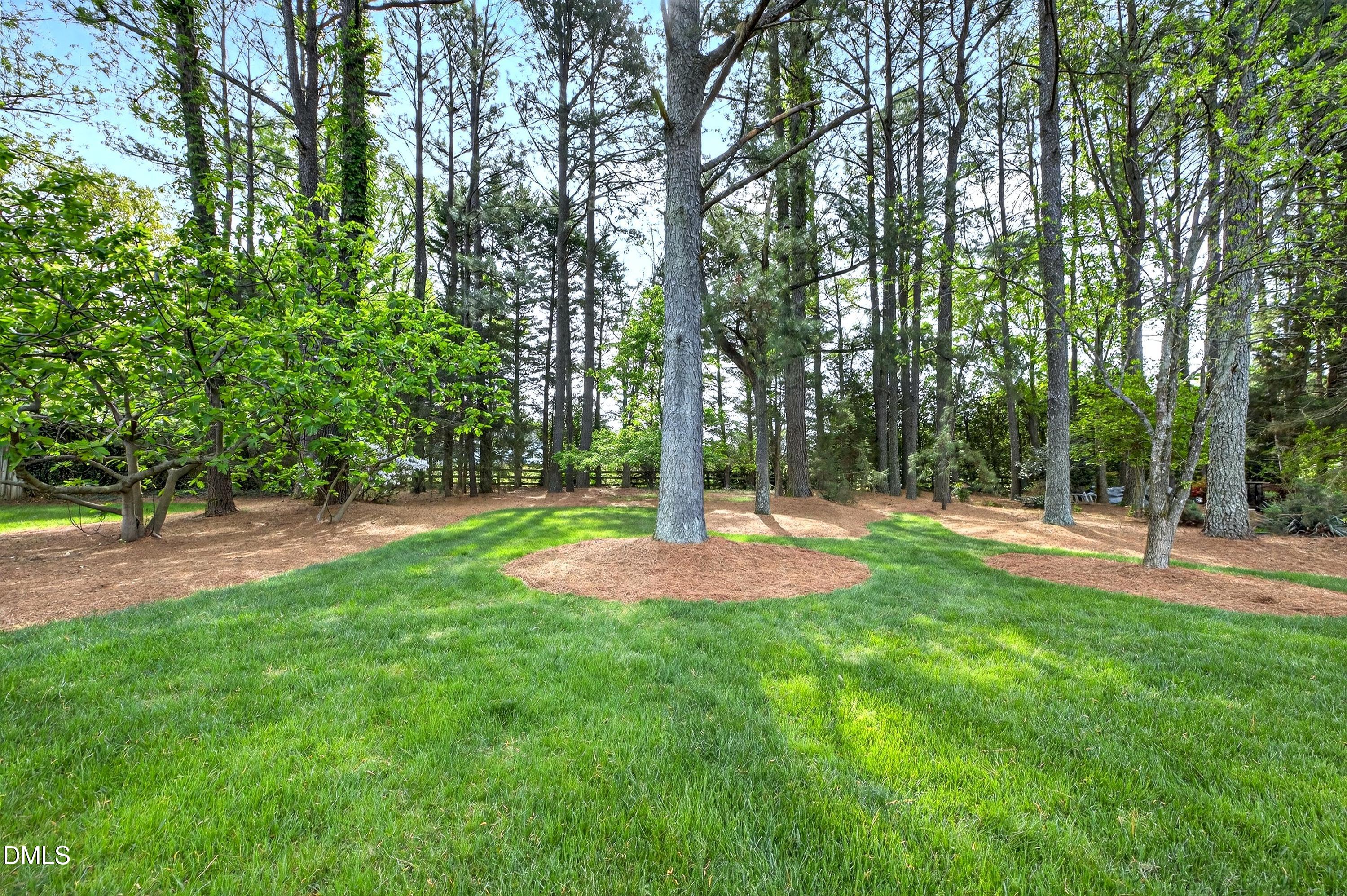 2217 Moss Point Lane Raleigh, NC 27606 - Photo 56 of 70 a view of a park with trees