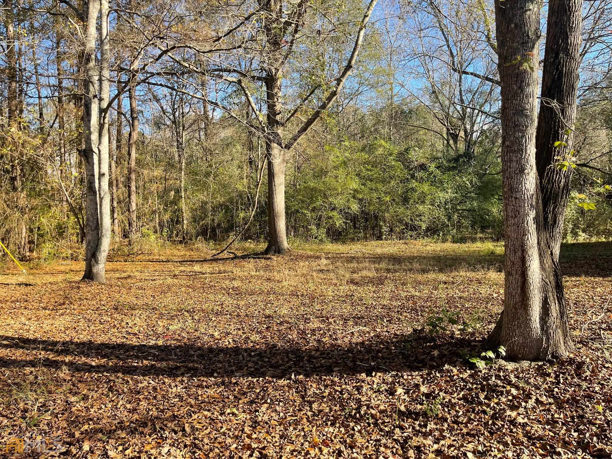 359 Anglin Road Griffin, GA 30223 - Photo 1 of 1 a view of a yard with trees